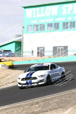 media/Oct-01-2023-VIP Trackdays (Sun) [[8c13cf1485]]/A Group/session 1 turn 4b/